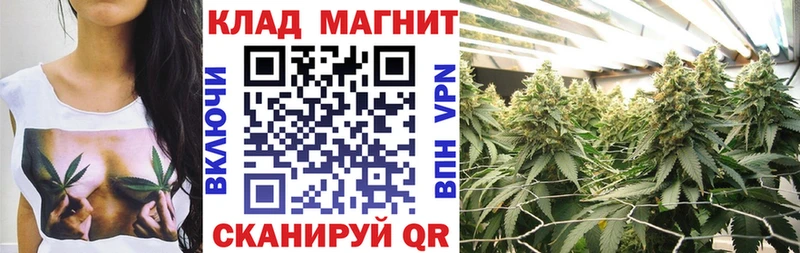 Где купить наркотики Гатчина Псилоцибиновые грибы APVP Марихуана MDMA Амфетамин КОКАИН