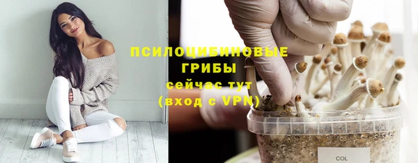тгк Баксан