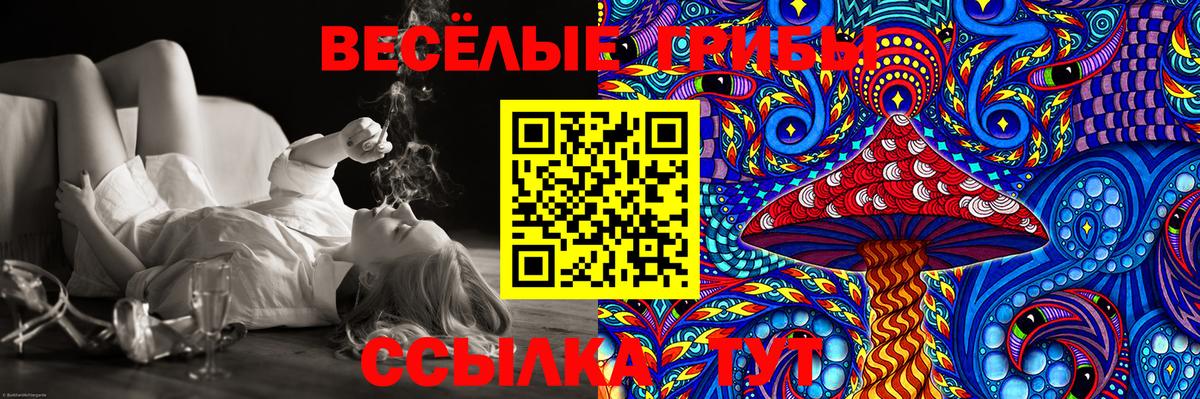 Меф кристаллы  LSD-25  Экстази  Вход с VPN  ГАШ  Гатчина  Cocaine  Бошки Шишки 