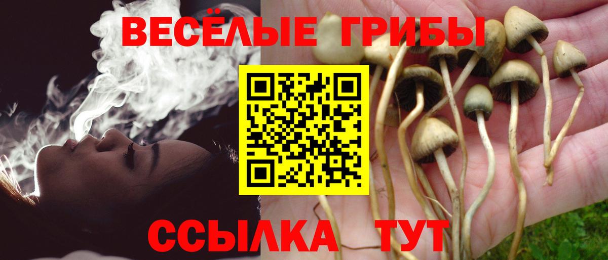 Галлюциногенные грибы MAGIC MUSHROOMS  Вход с VPN  Гатчина 